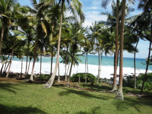 Rare South Coast Headland  Dondra